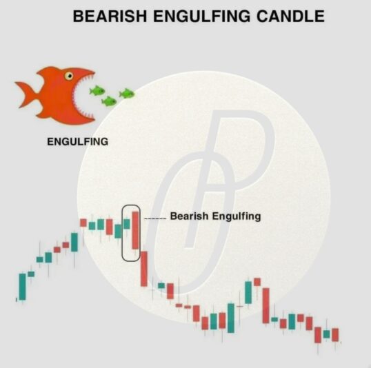 0495BA35-F8C1-49CB-9313-0DAA8D950BD7