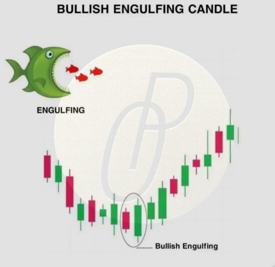 C8CB1515-3C85-4A35-83D3-CCFA136CED9F