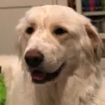 Profile photo of WSB-Tendies-Mike