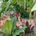 Profile photo of Srini