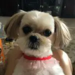 Profile photo of Betty