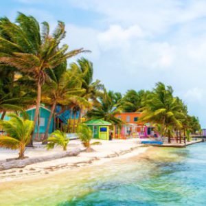 Profile photo of Easypickins