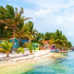 Profile photo of Easypickins