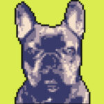 Profile photo of Pacoveron83