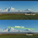 Profile photo of Sunny