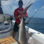 Profile photo of TNel44