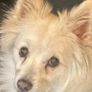 Profile photo of markhaug