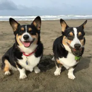 Profile photo of Colin