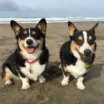 Profile photo of Colin