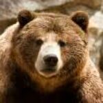 Profile photo of YYY