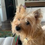 Profile photo of Aaron830