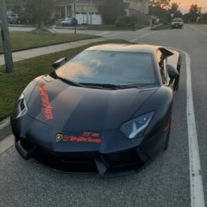 Profile photo of gianvaccaro7gmail-com