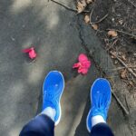 Profile photo of Thorpedo