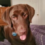 Profile photo of Kerry