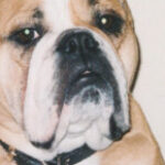 Profile photo of mikedubis