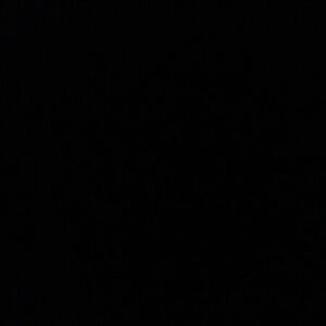 Profile photo of Moose