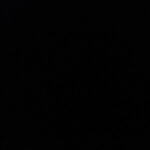 Profile photo of Moose