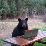 Profile photo of Serge