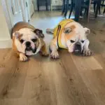 Profile photo of A.J.