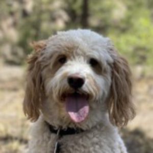 Profile photo of SammySalt