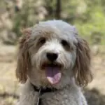 Profile photo of SammySalt