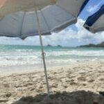 Profile photo of Jamie